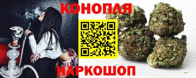 Альфа ПВП Будённовск