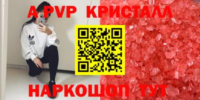 Альфа ПВП Будённовск
