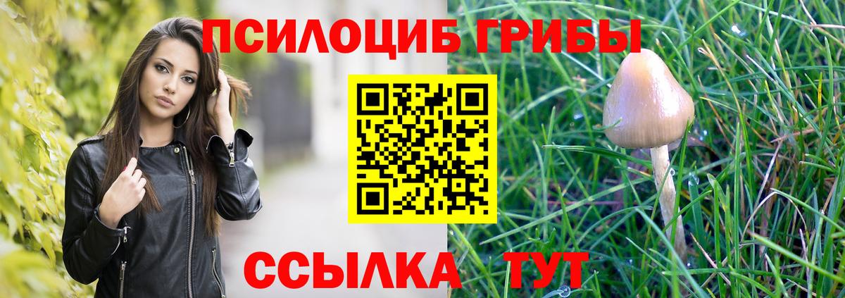 Галлюциногенные грибы Psilocybine cubensis  Вход с VPN  Томск 